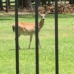 CyTxBoy - snapchat username