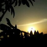 aarav - instagram username