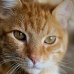 Ellie  - snapchat username