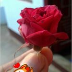 prubs - kik username