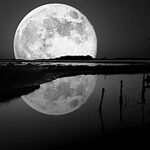 ahmad - instagram username