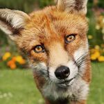 Jay - instagram username