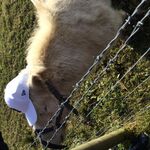 IrishGuy? - snapchat username