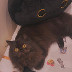 Diew - snapchat username