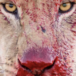 Alexander.balr - snapchat username