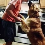 BPRyder - kik username