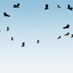 bobmat - snapchat username