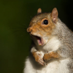 haeni - snapchat username