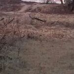 ghanshyamyadav - kik username