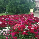 lamin - instagram username