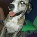 Sydney - instagram username