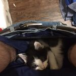 Idlickya - kik username