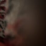 Lesbo - snapchat username