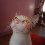 Devil10175 - instagram username