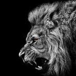 AvoidCoronaMsgForNudes - snapchat username