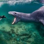 Altaccount6969 - snapchat username