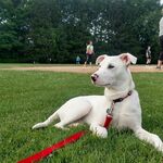 Chevy315er - snapchat username