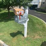 SlimChedar - kik username