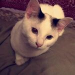 Mary_17 - instagram username