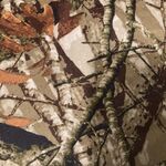 Meetup2013 - snapchat username