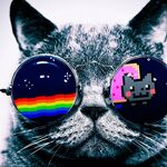 Drago9873 - instagram username