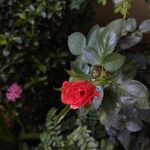 charan Rathod - instagram username