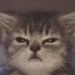 Austintyler347 - kik username