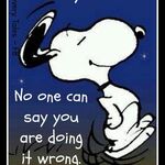 Andre - kik username