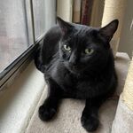 Ilovetacos-ye - snapchat username