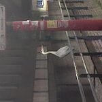 Milie - kik username