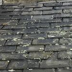 Deani - instagram username