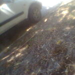 Jonathan - kik username