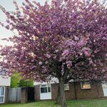 Diniz  - snapchat username