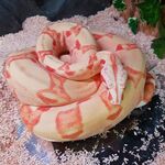 KnightHawkDown - instagram username