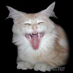 miriam676 - snapchat username