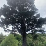 Married_mum29 - snapchat username