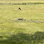 obbymaster - snapchat username