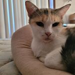 Silbrulf - snapchat username