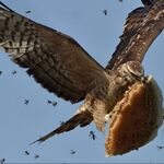 abdulmalik - kik username