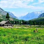 Qwer - instagram username