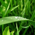 rahul - snapchat username