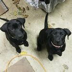 Jacobs.34 - kik username