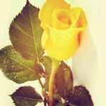 Kamal - instagram username