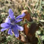 leap - snapchat username