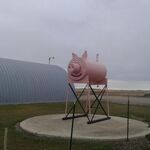 Tsqtraveller  - kik username