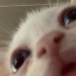 Boredasf213 - kik username