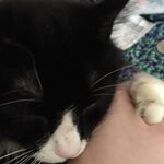 bri - instagram username