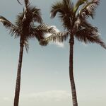 Pawlnat85 - snapchat username