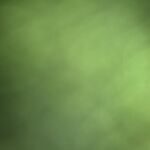 Josh Royn - kik username