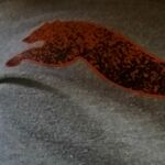 Walker - kik username